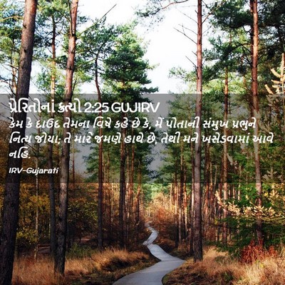 Picture 02 - પ્રેરિતોનાં ક્રત્યો 2:25 GUJIRV - કેમ કે દાઉદ તેમના - Bible Verse Picture