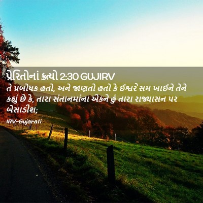 Picture 02 - પ્રેરિતોનાં ક્રત્યો 2:30 GUJIRV - તે પ્રબોધક હતો, અને - Bible Verse Picture