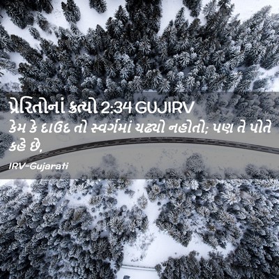 Picture 02 - પ્રેરિતોનાં ક્રત્યો 2:34 GUJIRV - કેમ કે દાઉદ તો - Bible Verse Picture