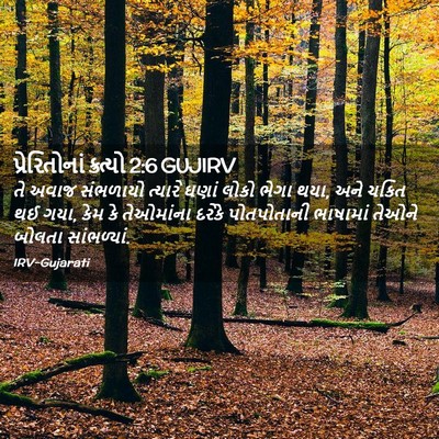 Picture 02 - પ્રેરિતોનાં ક્રત્યો 2:6 GUJIRV - તે અવાજ સંભળાયો - Bible Verse Picture