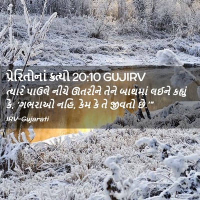 Picture 02 - પ્રેરિતોનાં ક્રત્યો 20:10 GUJIRV - ત્યારે પાઉલે નીચે - Bible Verse Picture