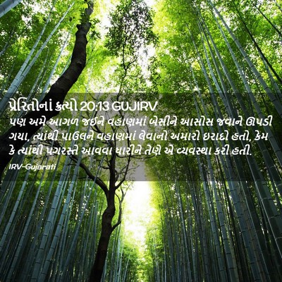 Picture 02 - પ્રેરિતોનાં ક્રત્યો 20:13 GUJIRV - પણ અમે આગળ જઈને - Bible Verse Picture