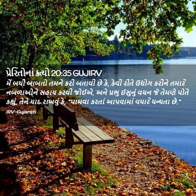 Picture 02 - પ્રેરિતોનાં ક્રત્યો 20:35 GUJIRV - મેં બધી બાબતો તમને - Bible Verse Picture