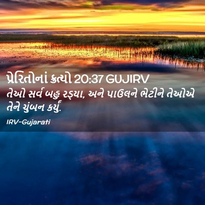 Picture 02 - પ્રેરિતોનાં ક્રત્યો 20:37 GUJIRV - તેઓ સર્વ બહુ રડ્યા, - Bible Verse Picture
