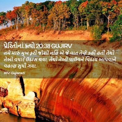 Picture 02 - પ્રેરિતોનાં ક્રત્યો 20:38 GUJIRV - તમે મારું મુખ ફરી - Bible Verse Picture