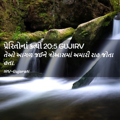 Picture 02 - પ્રેરિતોનાં ક્રત્યો 20:5 GUJIRV - તેઓ આગળ જઈને - Bible Verse Picture