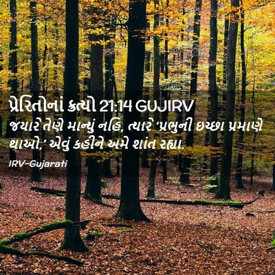 Picture 02 - પ્રેરિતોનાં ક્રત્યો 21:14 GUJIRV - જયારે તેણે - Bible Verse Picture