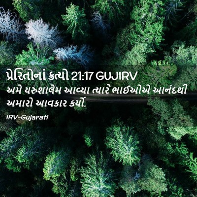 Picture 02 - પ્રેરિતોનાં ક્રત્યો 21:17 GUJIRV - અમે યરુશાલેમ - Bible Verse Picture