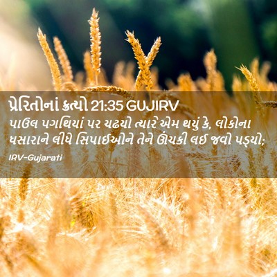 Picture 02 - પ્રેરિતોનાં ક્રત્યો 21:35 GUJIRV - પાઉલ પગથિયાં પર - Bible Verse Picture