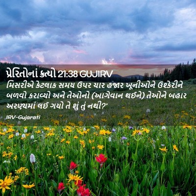 Picture 02 - પ્રેરિતોનાં ક્રત્યો 21:38 GUJIRV - મિસરીએ કેટલાક સમય - Bible Verse Picture