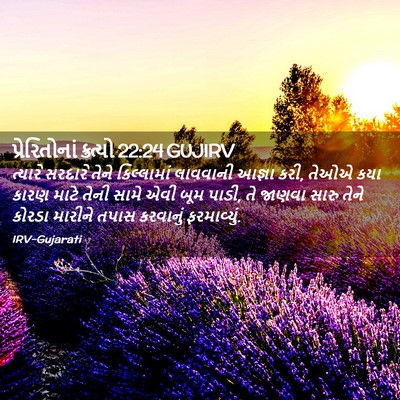 Picture 02 - પ્રેરિતોનાં ક્રત્યો 22:24 GUJIRV - ત્યારે સરદારે - Bible Verse Picture