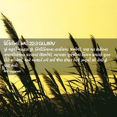 Picture 02 - પ્રેરિતોનાં ક્રત્યો 22:3 GUJIRV - ‘હું યહૂદી માણસ - Bible Verse Picture