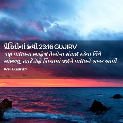 Picture 02 - પ્રેરિતોનાં ક્રત્યો 23:16 GUJIRV - પણ પાઉલના ભાણેજે - Bible Verse Picture