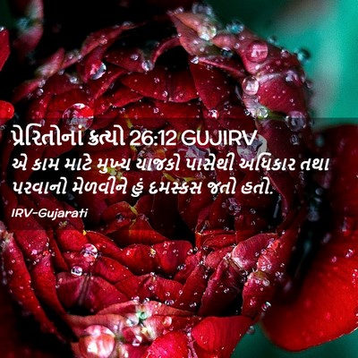 Picture 02 - પ્રેરિતોનાં ક્રત્યો 26:12 GUJIRV - એ કામ માટે મુખ્ય - Bible Verse Picture