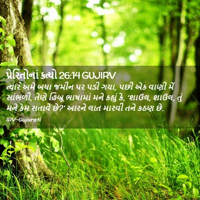 Picture 02 - પ્રેરિતોનાં ક્રત્યો 26:14 GUJIRV - ત્યારે અમે બધા - Bible Verse Picture