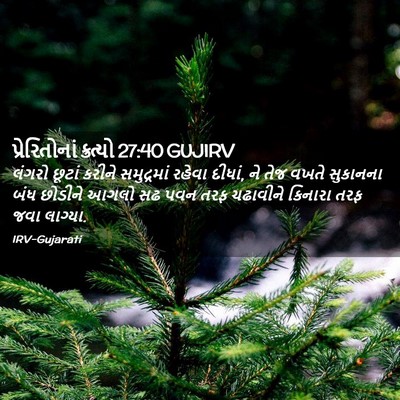 Picture 02 - પ્રેરિતોનાં ક્રત્યો 27:40 GUJIRV - લંગરો છૂટાં કરીને - Bible Verse Picture