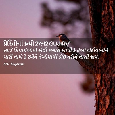 Picture 02 - પ્રેરિતોનાં ક્રત્યો 27:42 GUJIRV - ત્યારે સિપાઈઓએ - Bible Verse Picture