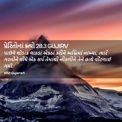 Picture 02 - પ્રેરિતોનાં ક્રત્યો 28:3 GUJIRV - પાઉલે થોડાંક - Bible Verse Picture