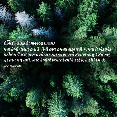 Picture 02 - પ્રેરિતોનાં ક્રત્યો 28:6 GUJIRV - પણ તેઓ ધારતા હતા - Bible Verse Picture