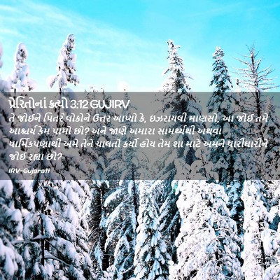 Picture 02 - પ્રેરિતોનાં ક્રત્યો 3:12 GUJIRV - તે જોઈને પિતરે - Bible Verse Picture