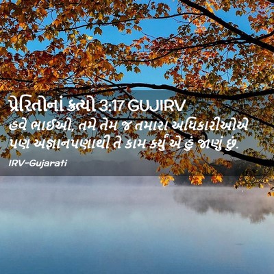 Picture 02 - પ્રેરિતોનાં ક્રત્યો 3:17 GUJIRV - હવે ભાઈઓ, તમે તેમ જ - Bible Verse Picture