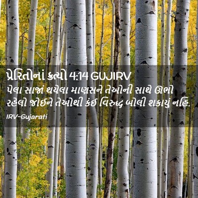 Picture 02 - પ્રેરિતોનાં ક્રત્યો 4:14 GUJIRV - પેલા સાજાં થયેલા - Bible Verse Picture