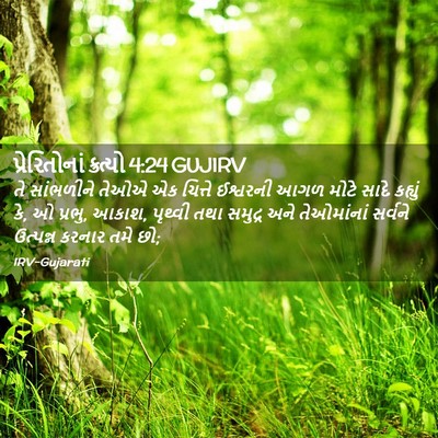 Picture 02 - પ્રેરિતોનાં ક્રત્યો 4:24 GUJIRV - તે સાંભળીને તેઓએ - Bible Verse Picture