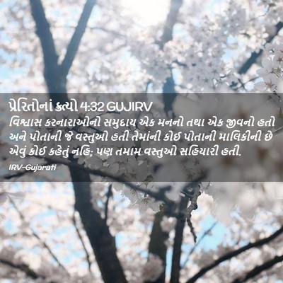 Picture 02 - પ્રેરિતોનાં ક્રત્યો 4:32 GUJIRV - વિશ્વાસ કરનારાઓનો - Bible Verse Picture