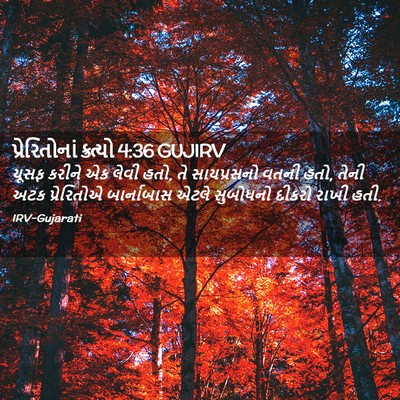 Picture 02 - પ્રેરિતોનાં ક્રત્યો 4:36 GUJIRV - યૂસફ કરીને એક લેવી - Bible Verse Picture