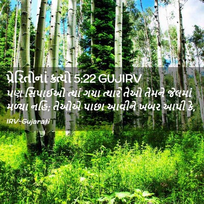 Picture 02 - પ્રેરિતોનાં ક્રત્યો 5:22 GUJIRV - પણ સિપાઈઓ ત્યાં - Bible Verse Picture