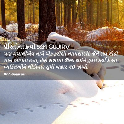 Picture 02 - પ્રેરિતોનાં ક્રત્યો 5:34 GUJIRV - પણ ગમાલીએલ નામે એક - Bible Verse Picture