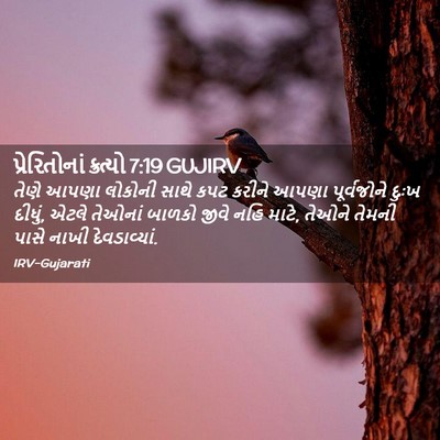 Picture 02 - પ્રેરિતોનાં ક્રત્યો 7:19 GUJIRV - તેણે આપણા લોકોની - Bible Verse Picture
