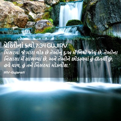 Picture 02 - પ્રેરિતોનાં ક્રત્યો 7:34 GUJIRV - મિસરમાં જે મારા - Bible Verse Picture