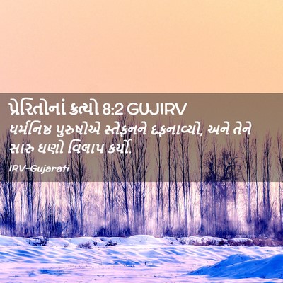 Picture 02 - પ્રેરિતોનાં ક્રત્યો 8:2 GUJIRV - ધર્મનિષ્ઠ પુરુષોએ - Bible Verse Picture