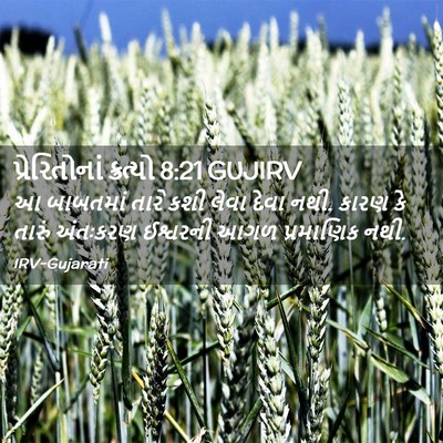 Picture 02 - પ્રેરિતોનાં ક્રત્યો 8:21 GUJIRV - આ બાબતમાં તારે કશી - Bible Verse Picture
