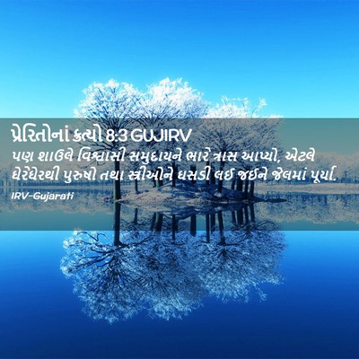 Picture 02 - પ્રેરિતોનાં ક્રત્યો 8:3 GUJIRV - પણ શાઉલે વિશ્વાસી - Bible Verse Picture