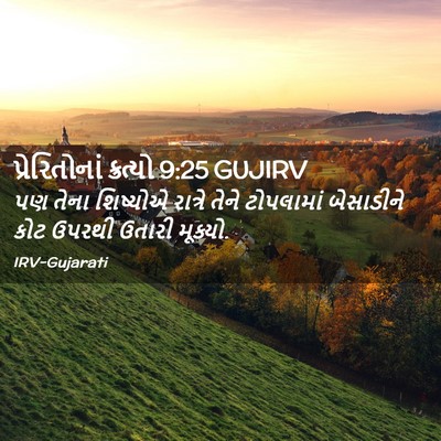 Picture 02 - પ્રેરિતોનાં ક્રત્યો 9:25 GUJIRV - પણ તેના શિષ્યોએ - Bible Verse Picture