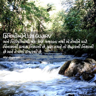 Picture 02 - ફિલિપ્પીઓને 1:28 GUJIRV - અને વિરોધીઓથી જરા - Bible Verse Picture