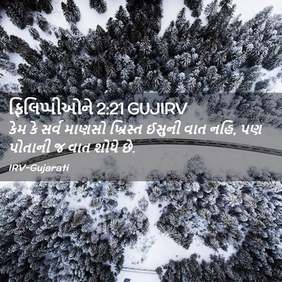 Picture 02 - ફિલિપ્પીઓને 2:21 GUJIRV - કેમ કે સર્વ માણસો - Bible Verse Picture