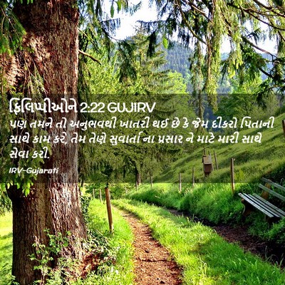Picture 02 - ફિલિપ્પીઓને 2:22 GUJIRV - પણ તમને તો અનુભવથી - Bible Verse Picture