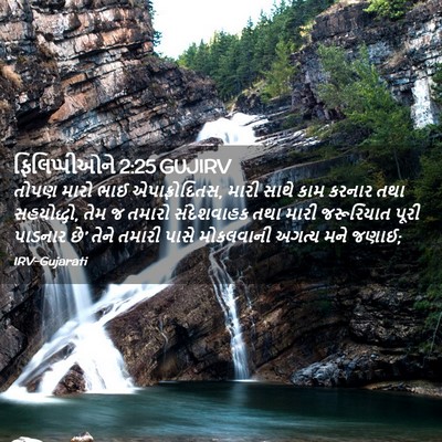 Picture 02 - ફિલિપ્પીઓને 2:25 GUJIRV - તોપણ મારો ભાઈ - Bible Verse Picture