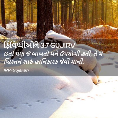 Picture 02 - ફિલિપ્પીઓને 3:7 GUJIRV - છતાં પણ જે બાબતો - Bible Verse Picture