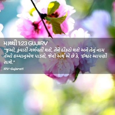 Picture 02 - માથ્થી 1:23 GUJIRV - “જુઓ, કુંવારી - Bible Verse Picture