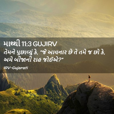 Picture 02 - માથ્થી 11:3 GUJIRV - તેમને પુછાવ્યું - Bible Verse Picture