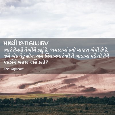 Picture 02 - માથ્થી 12:11 GUJIRV - ત્યારે તેમણે - Bible Verse Picture