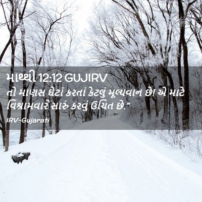 Picture 02 - માથ્થી 12:12 GUJIRV - તો માણસ ઘેટાં - Bible Verse Picture