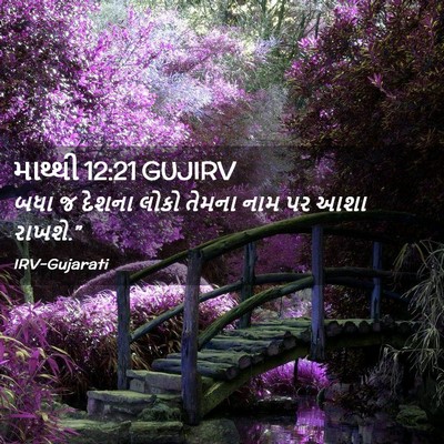 Picture 02 - માથ્થી 12:21 GUJIRV - બધા જ દેશના લોકો - Bible Verse Picture