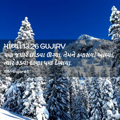Picture 02 - માથ્થી 13:26 GUJIRV - પણ જયારે છોડવા - Bible Verse Picture