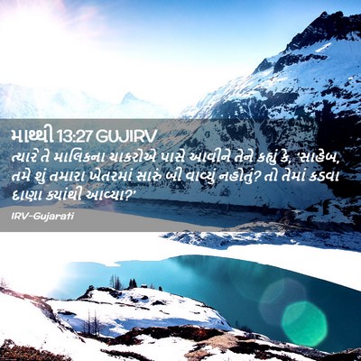 Picture 02 - માથ્થી 13:27 GUJIRV - ત્યારે તે માલિકના - Bible Verse Picture