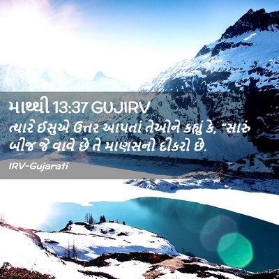 Picture 02 - માથ્થી 13:37 GUJIRV - ત્યારે ઈસુએ ઉત્તર - Bible Verse Picture